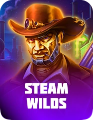 Steam Wilos